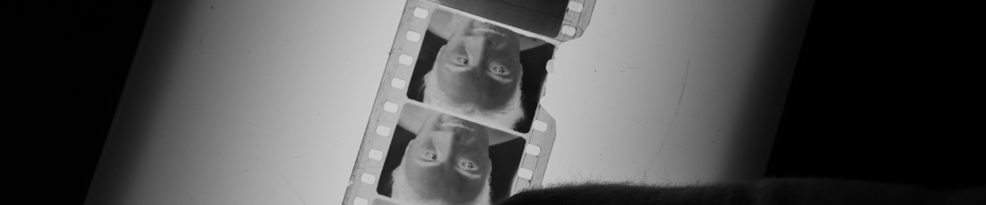 Impatience - Restauration