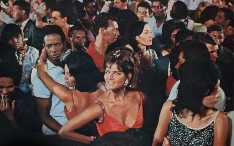 Rosa per tutti una 24 rossi