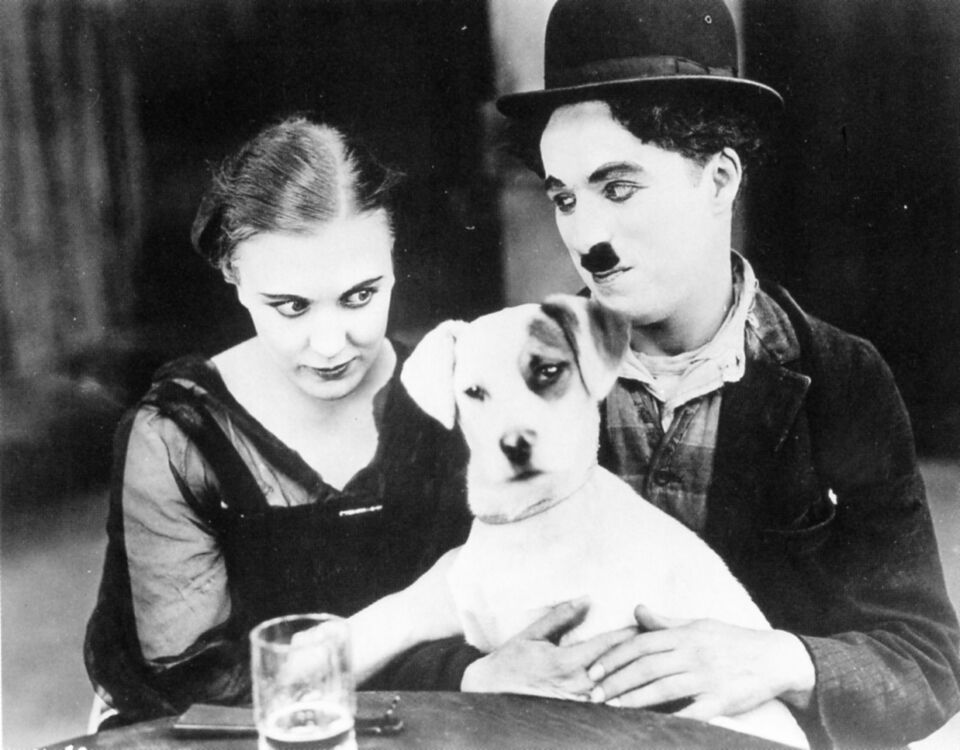 Dogs20life3 B20a20420 Chaplin