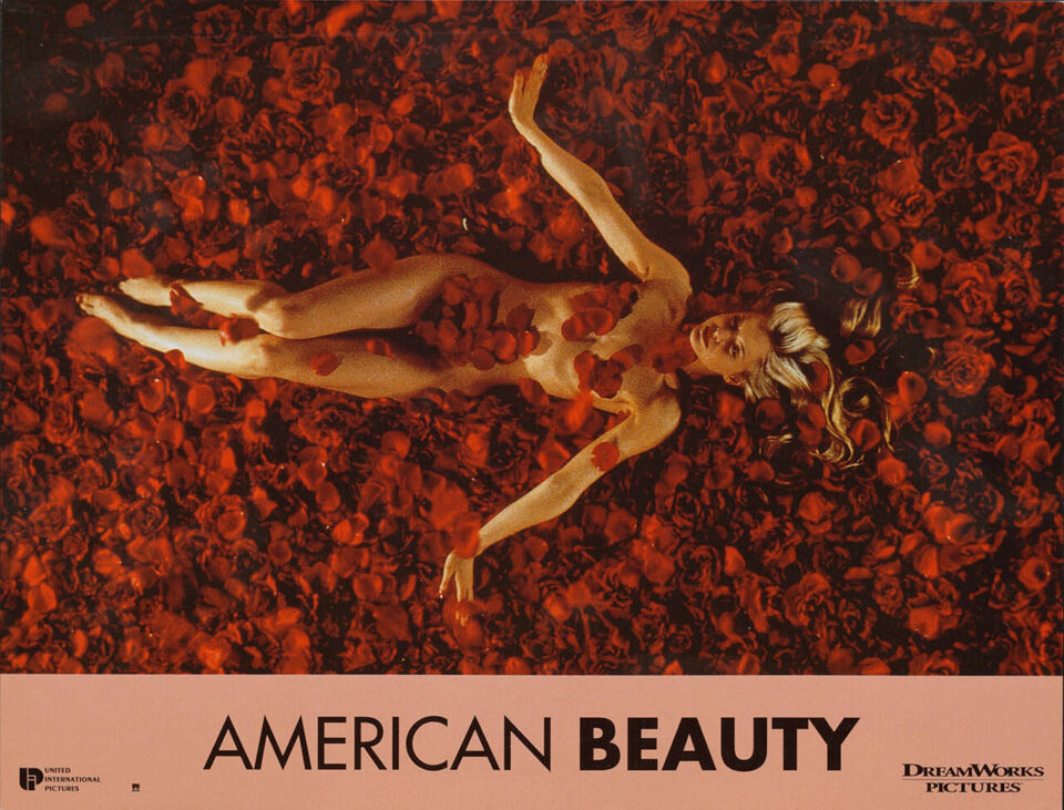 American beauty 0