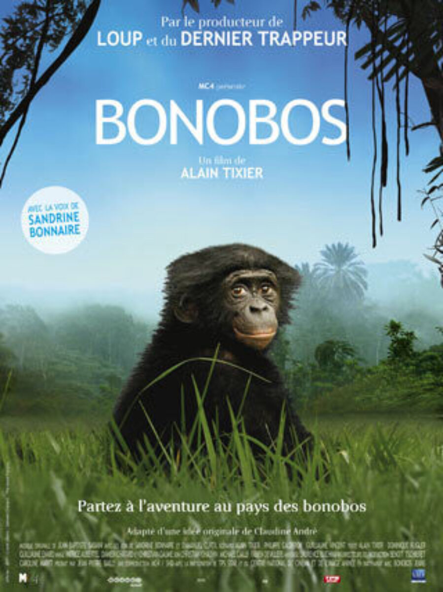 Bonobos Poster 1 Tixier