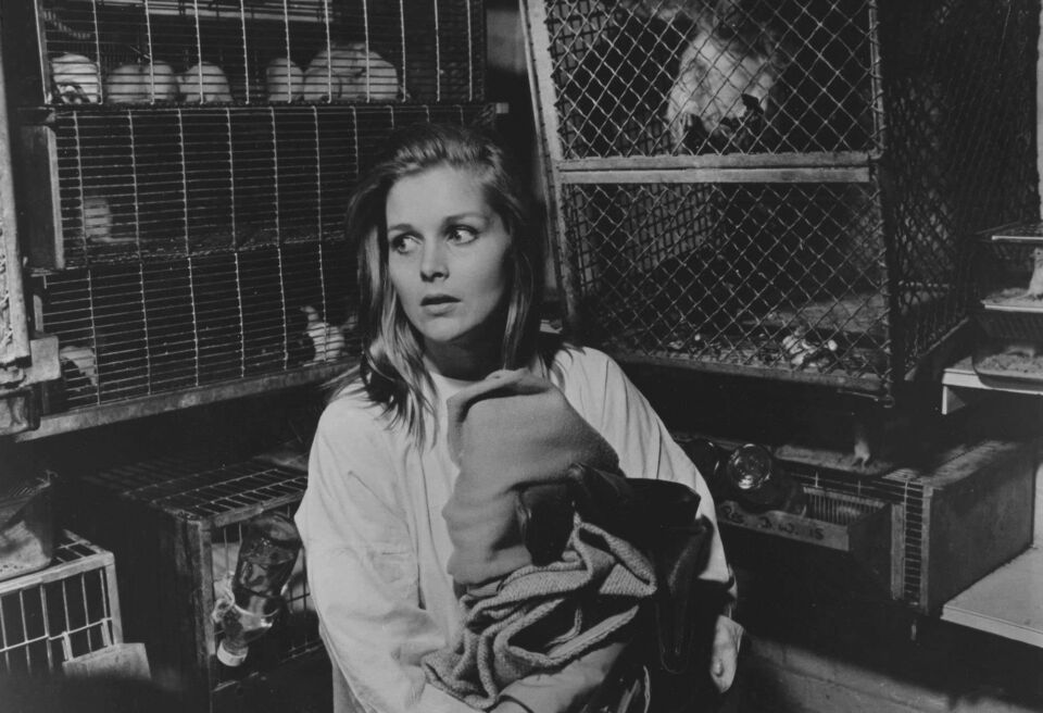 Bunny lake is missing 15