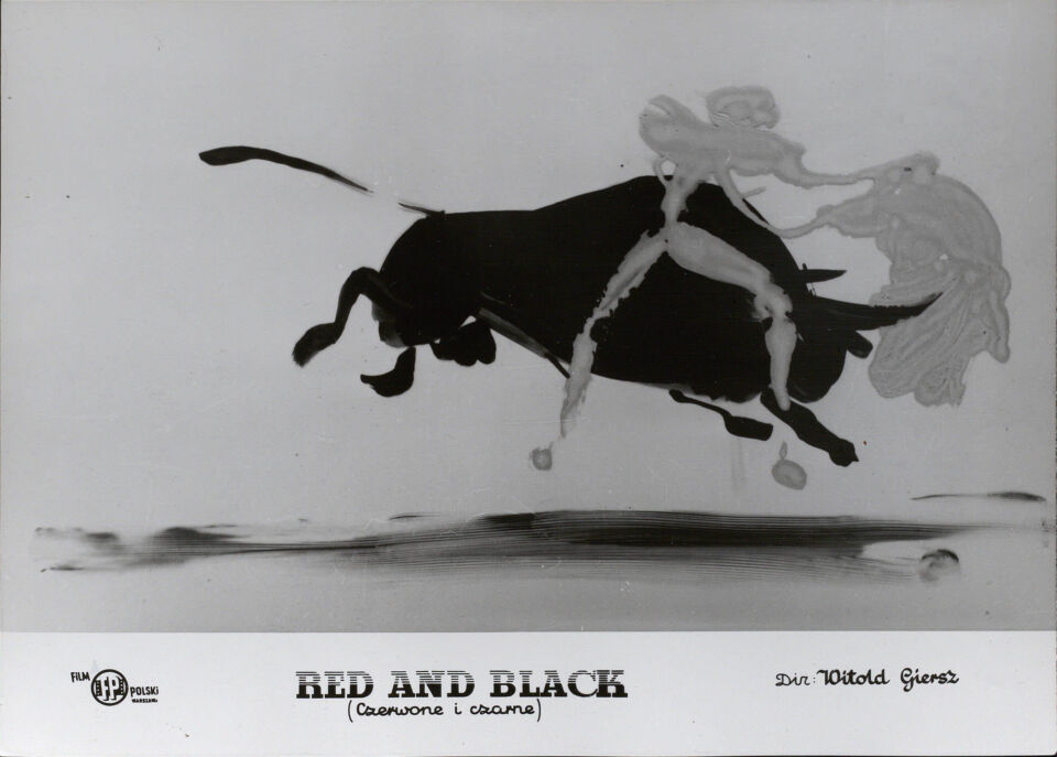 Czerwone i czarne 2