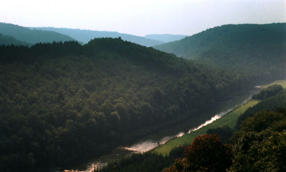 Deus lo volt Luc Monheim img 00009