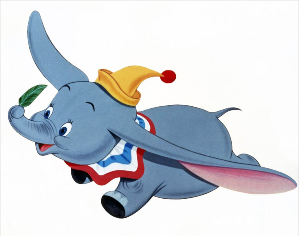 Dumbo 10