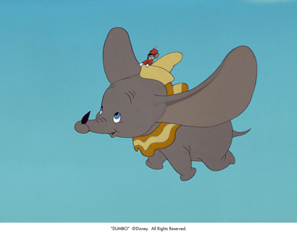 Dumbo 8