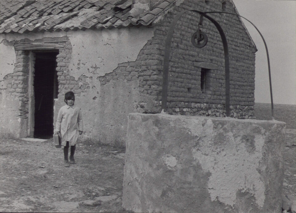 ESPIRITU DE LA COLMENA EL 13 Erice copy