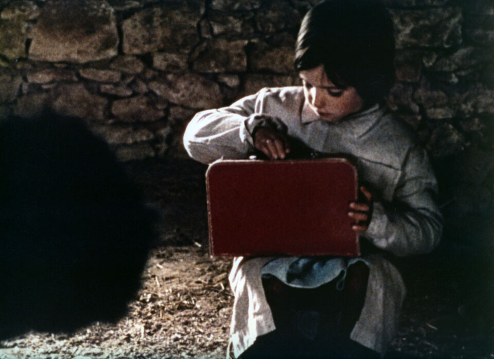 Espiritu de la colmena el 7 Erice