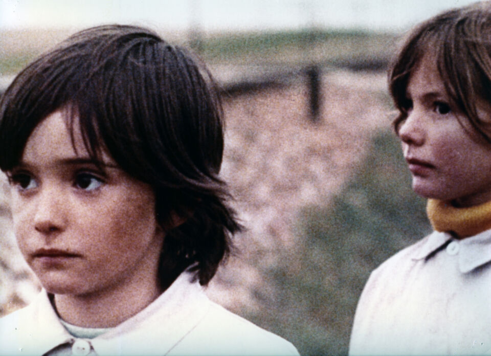 Espiritu de la colmena el 8 Erice