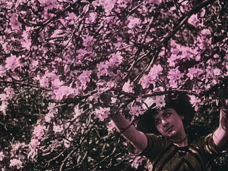 Still 2025 04 16 145253 2 17 4 1 Large