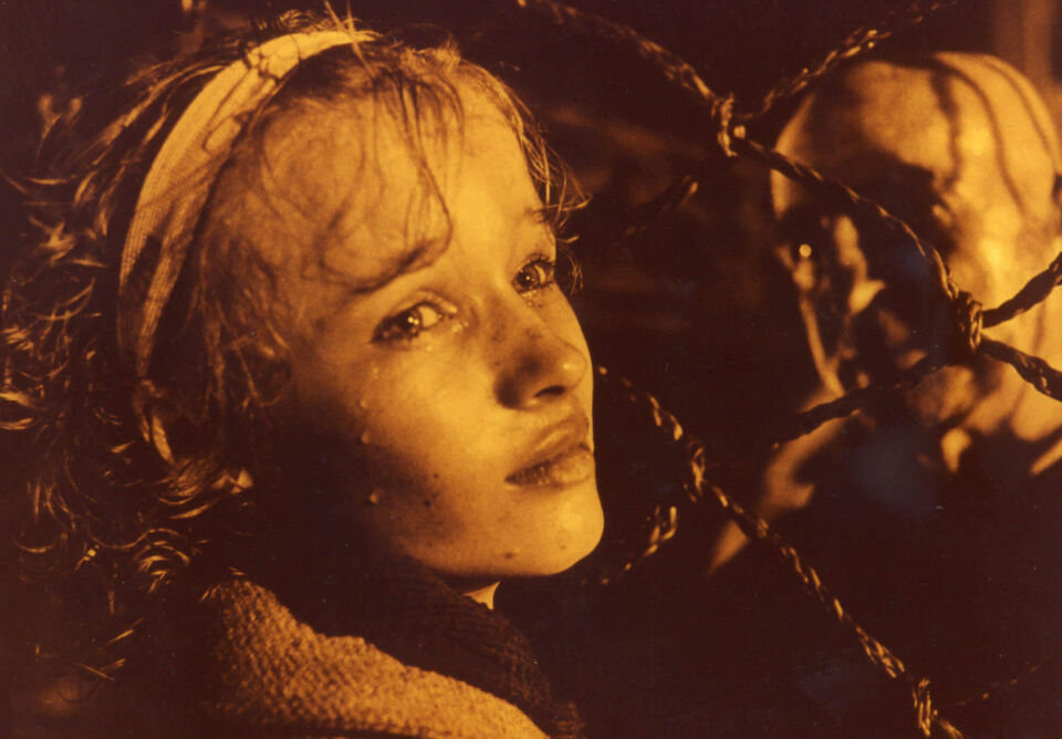 Forbrydelsens element 2