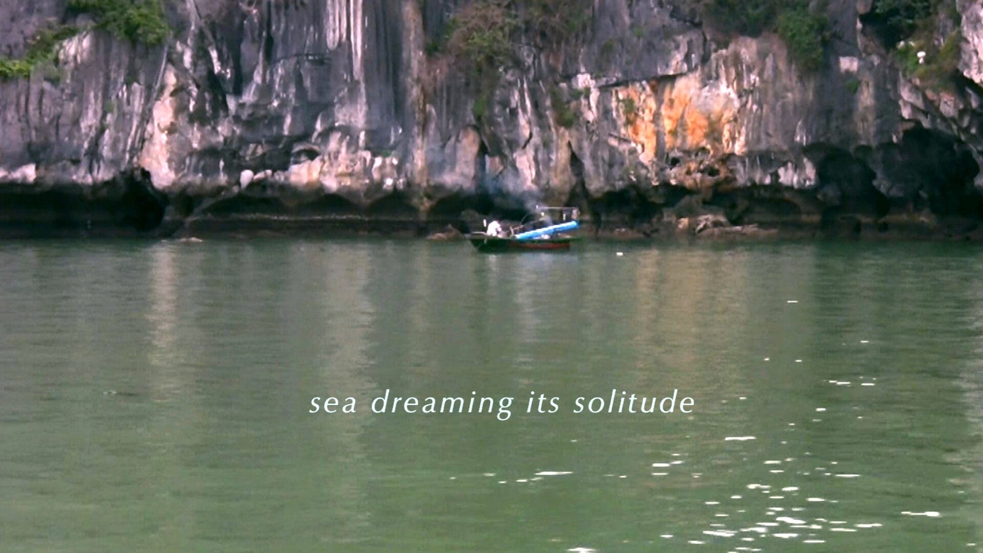 9 FVN sea dreaming its solitute