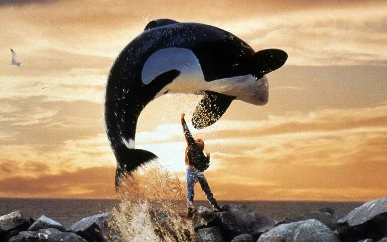 Free Willy jpg