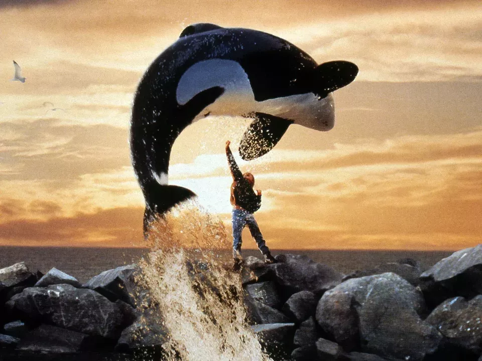 Free Willy jpg