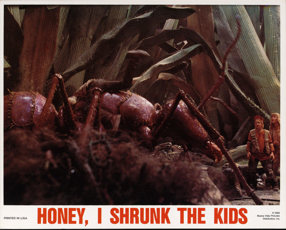 HONEY I SHRUNK THE KIDS 22 Johnston copy