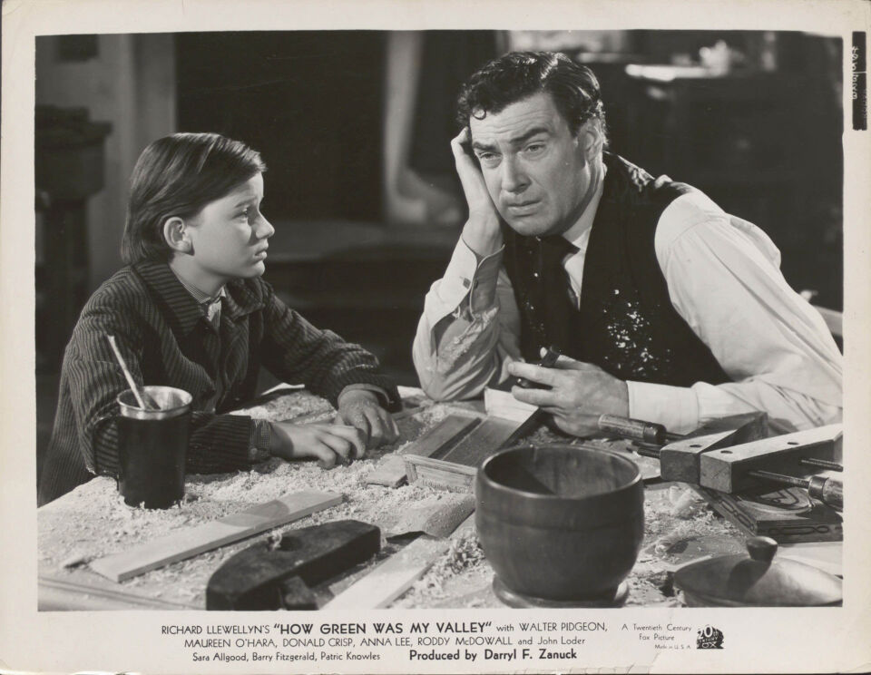 How green was my valley 6