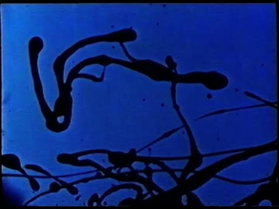 Jackson Pollock 51 Hans Namuth 2