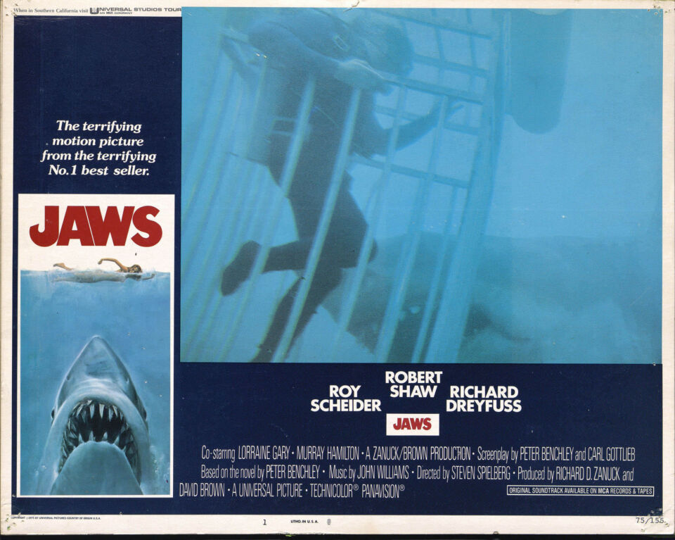 Jaws 14