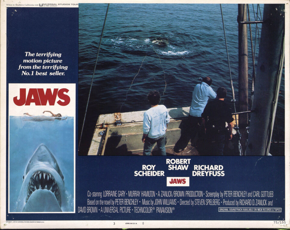 Jaws 16