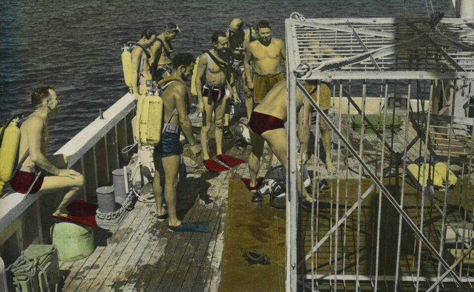 Le monde du silence 1