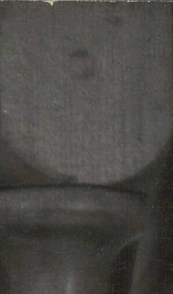 LIMONADOVY JOE 74 Lipsky copy