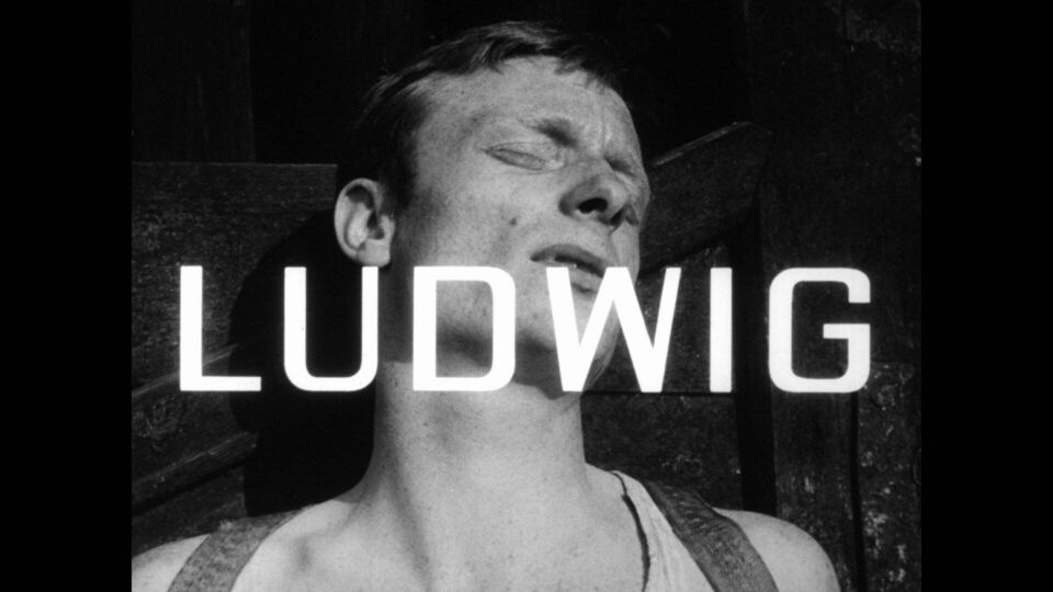 Ludwig
