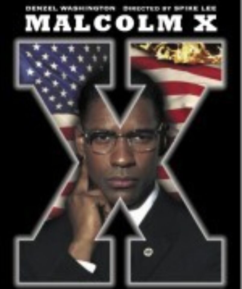 Malcolm X poster 1 Lee