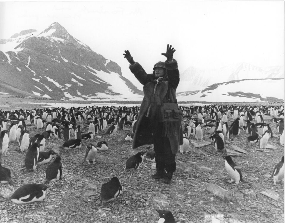 Mr Forbush and the penguins 1 Viola Sucksdorff