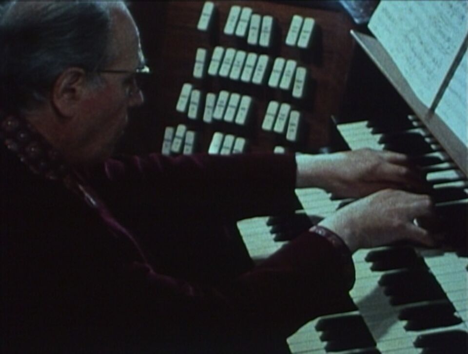 Olivier Messiaen et les oiseaux 4 Tual