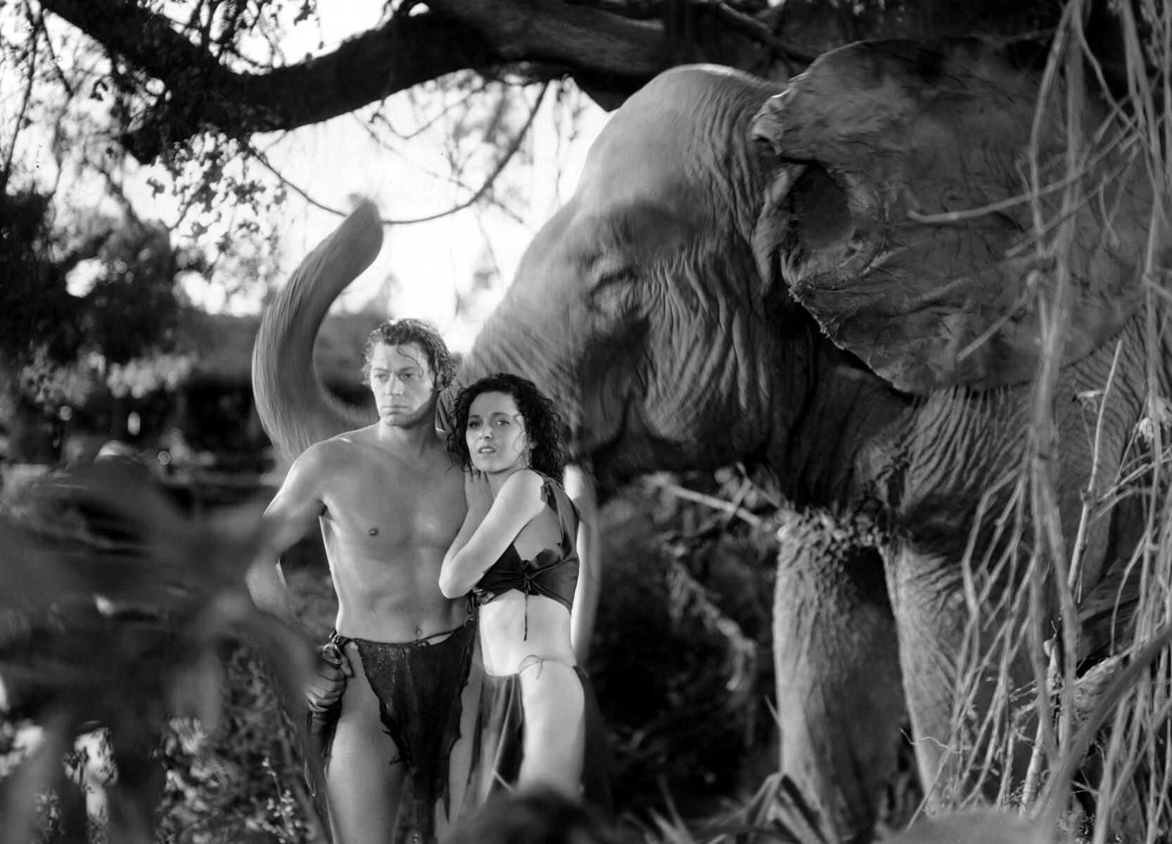 Tarzan and his mate