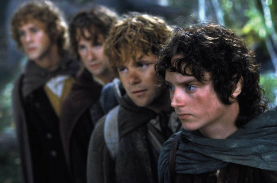 The lord of the rings the fellowship of the ring 11