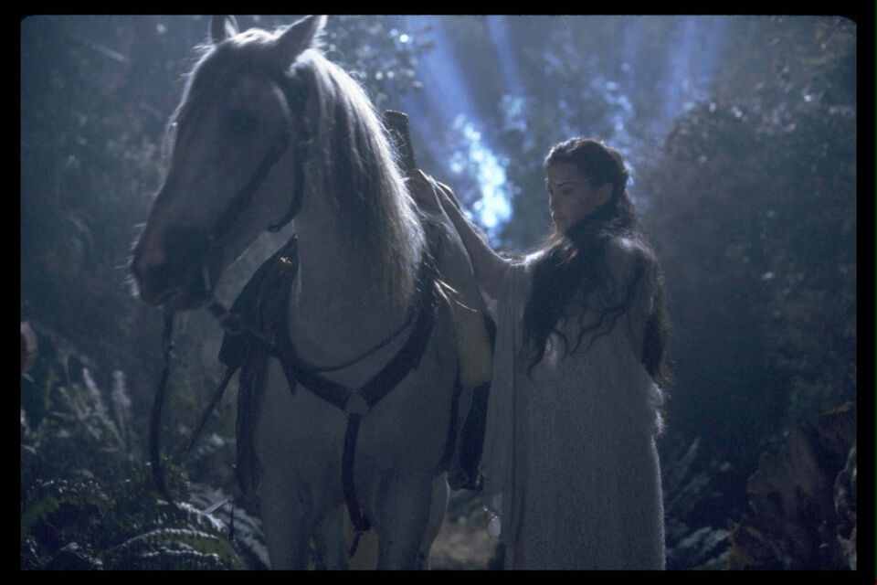 The lord of the rings the fellowship of the ring 12