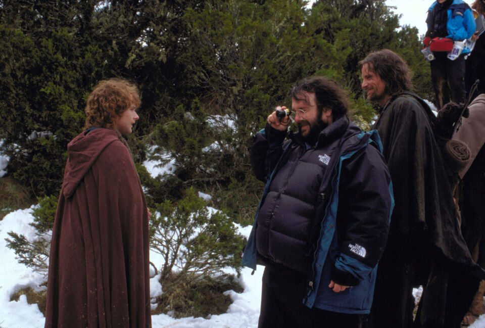 The lord of the rings the fellowship of the ring 94