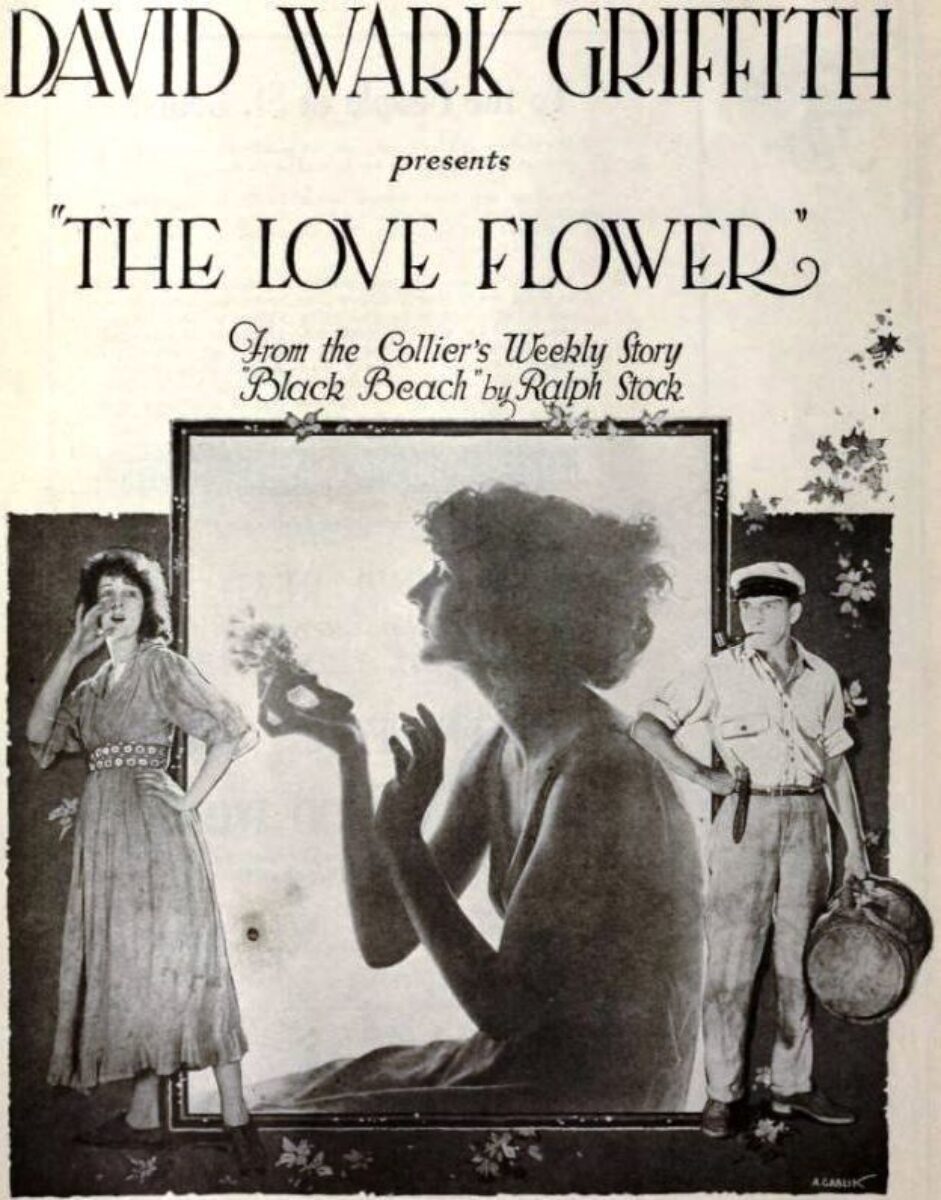 The Love Flower David Wark Griffith 1920
