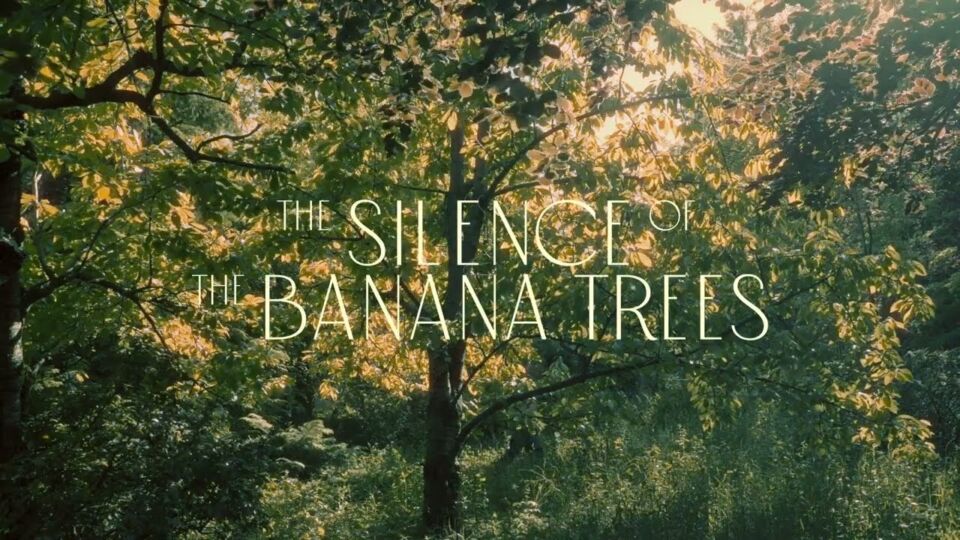 The Silence of The Banana Trees