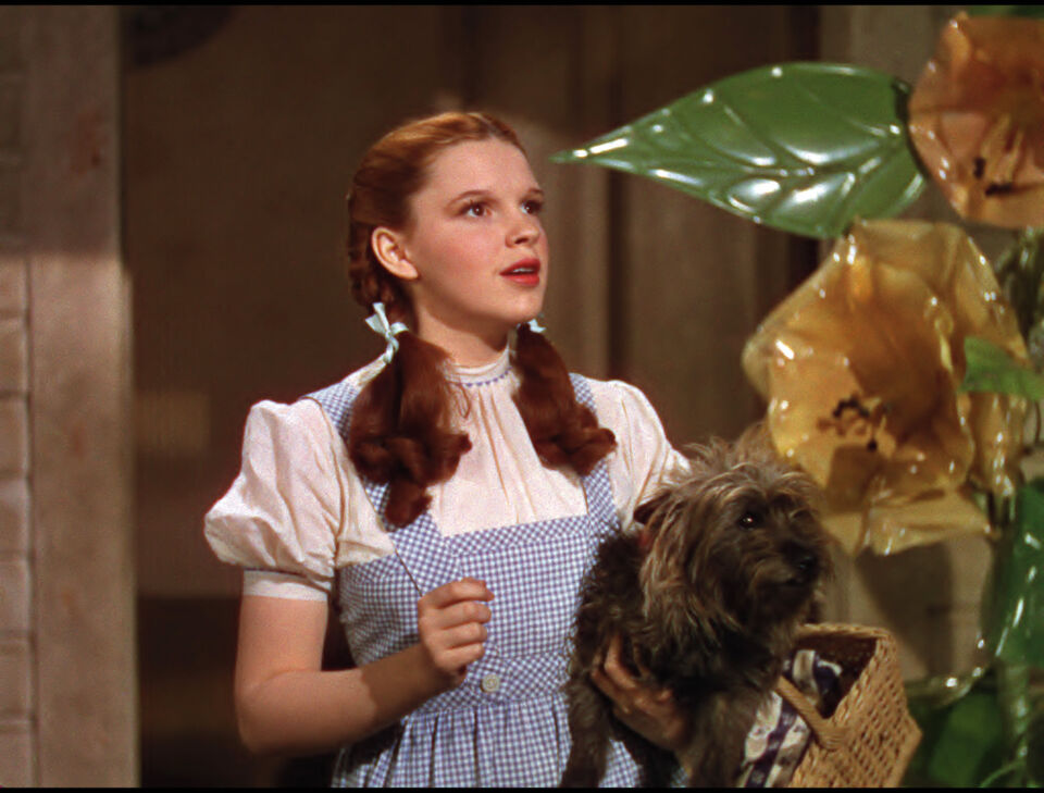 The wizard of oz 18