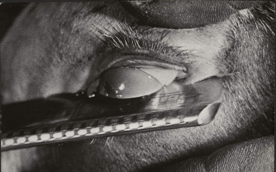 CHIEN ANDALOU UN 30 Bunuel copy