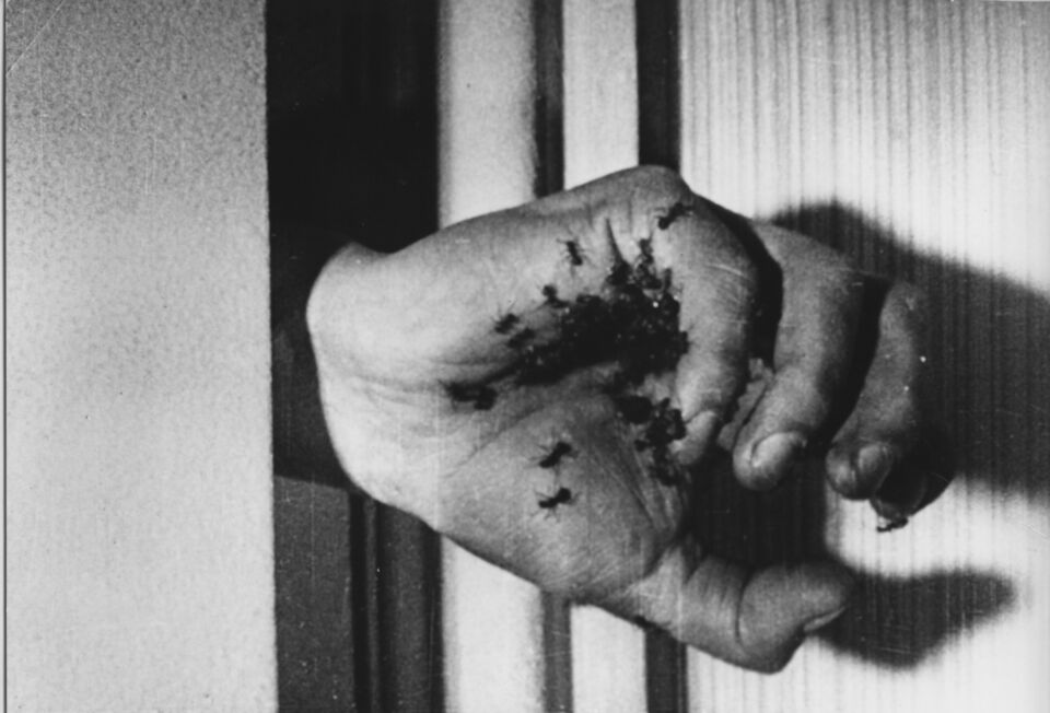 Chien andalou un 2 Bunuel