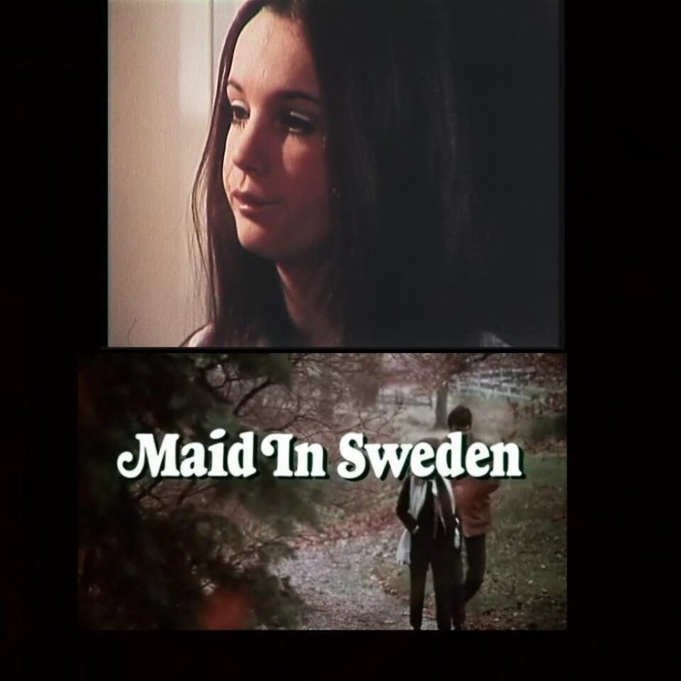 Maid in Sweden postr