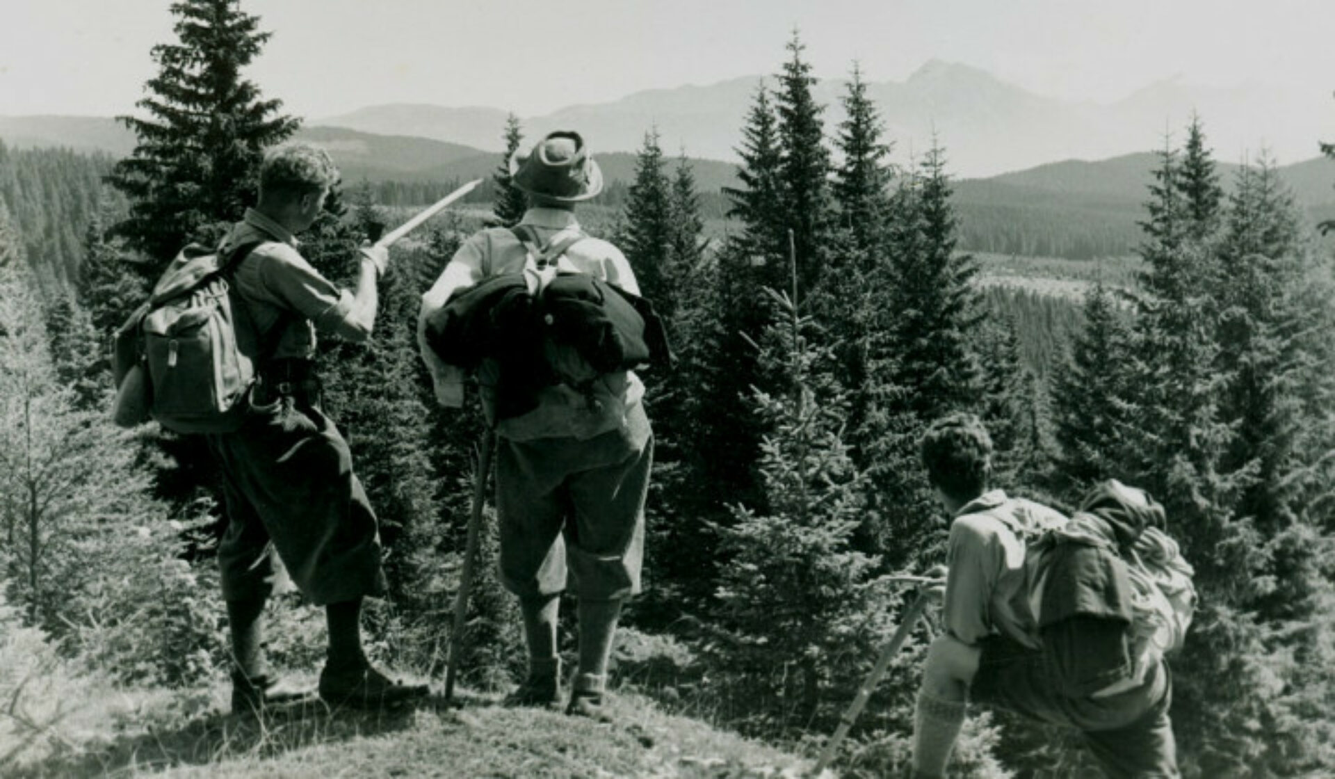 Images cms image 000076931