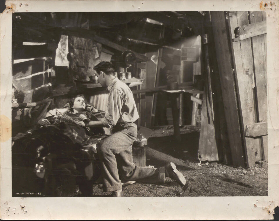 You only live once 14