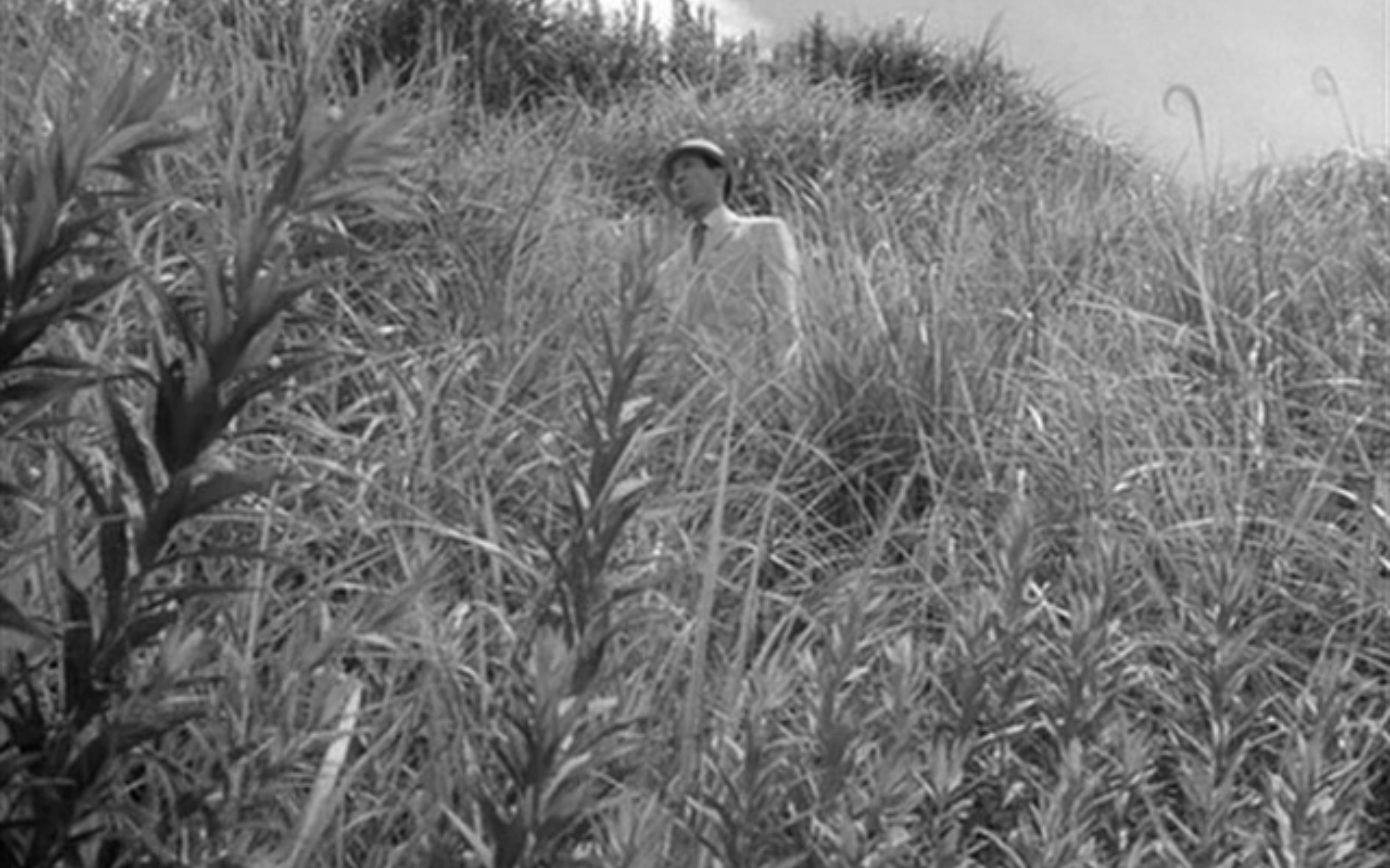 Otoshiana 19623 e1614498345617